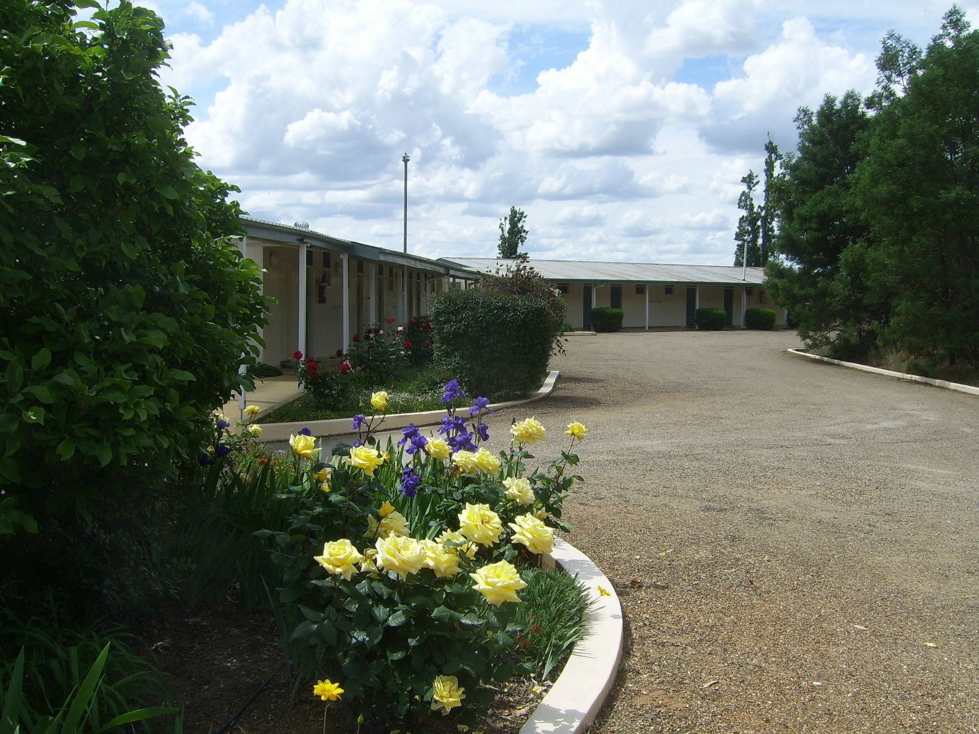 Garden Motor Inn 군다가이 외부 사진